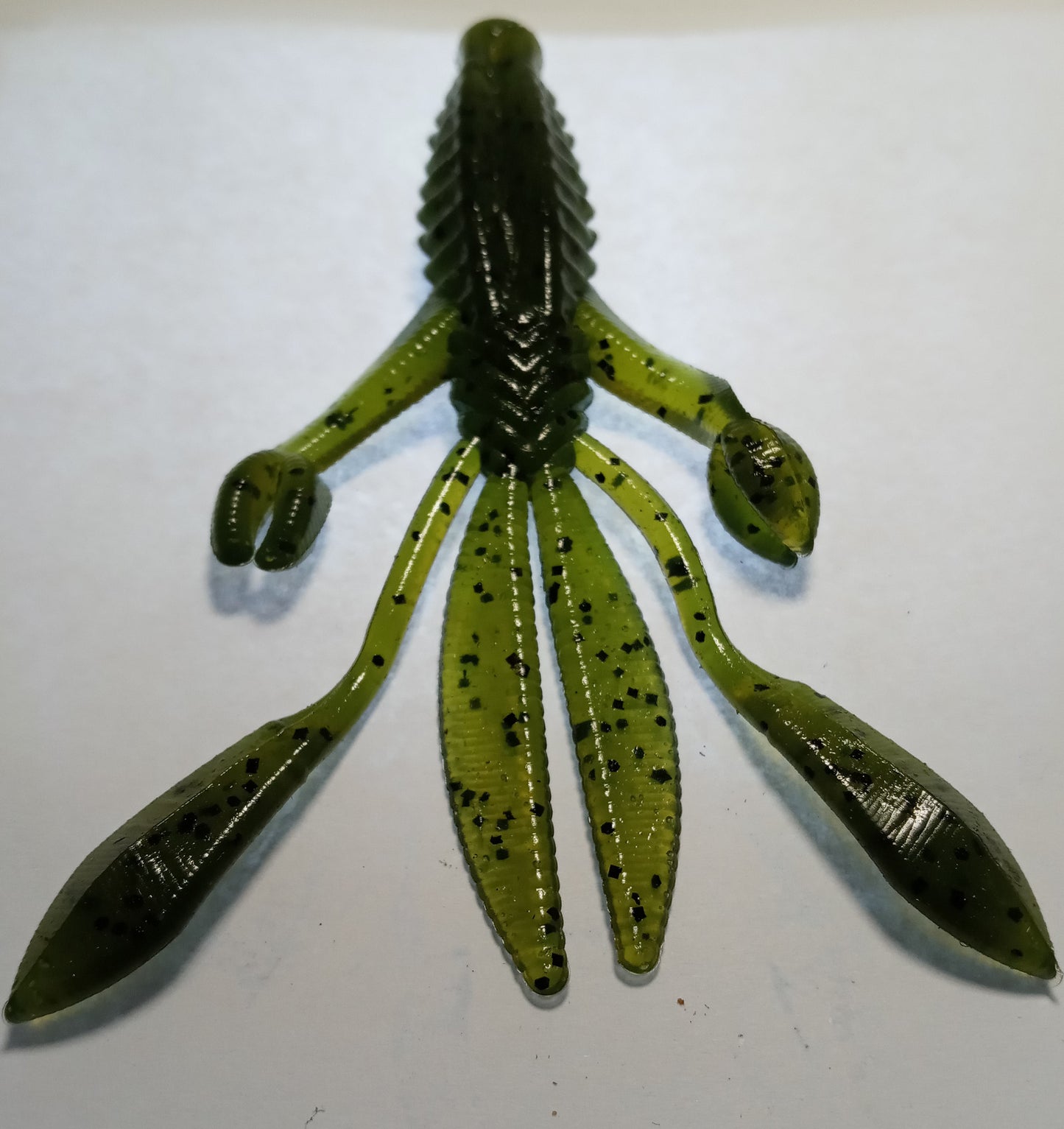 Watermelon / Peeper