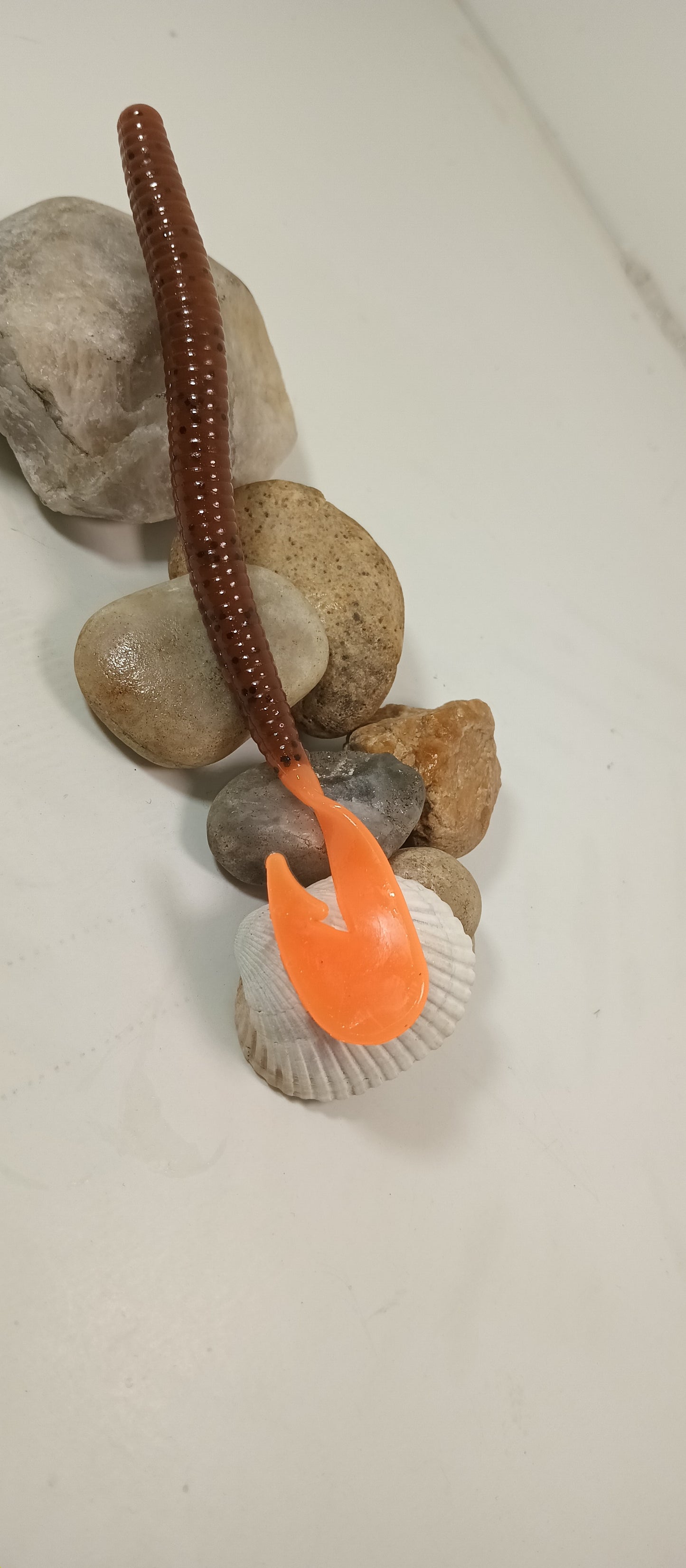 Pumpkin /orange tail