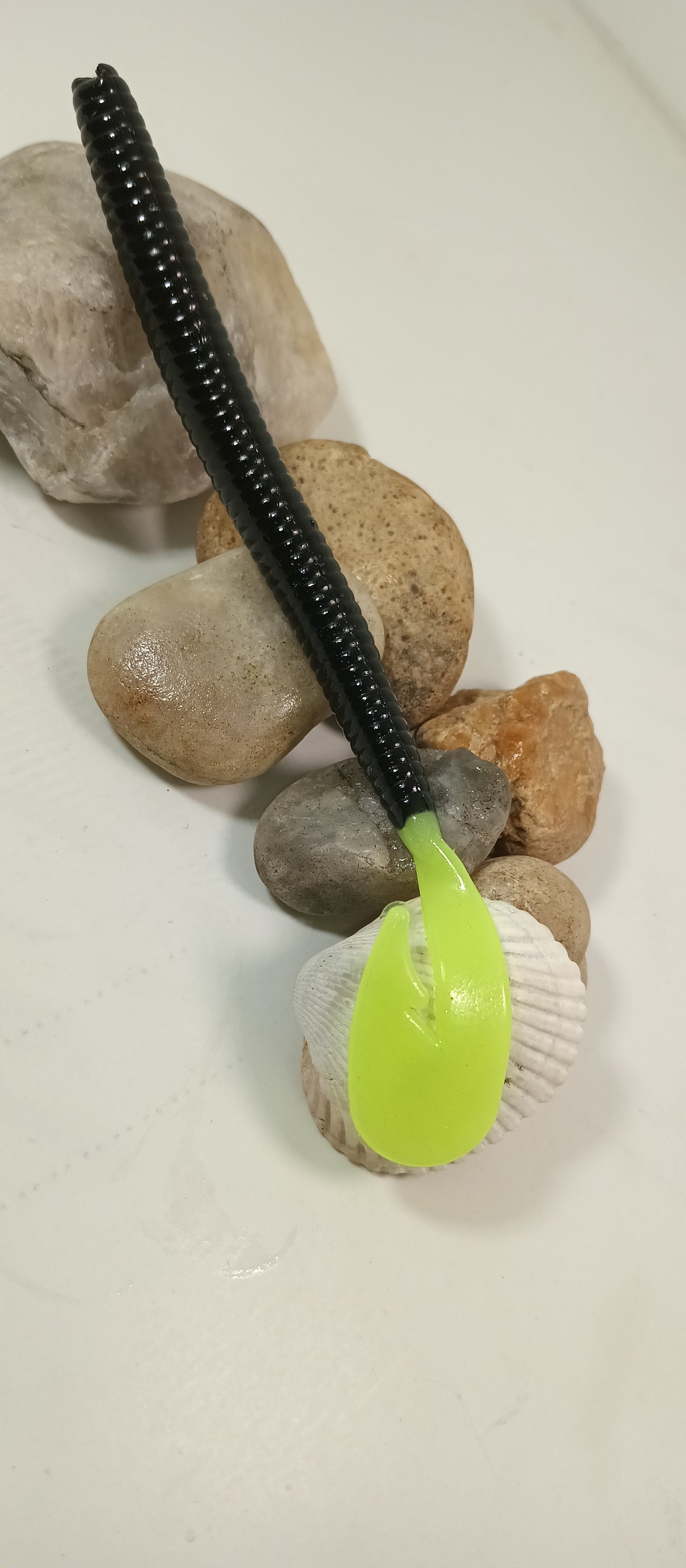 Black/chart tail