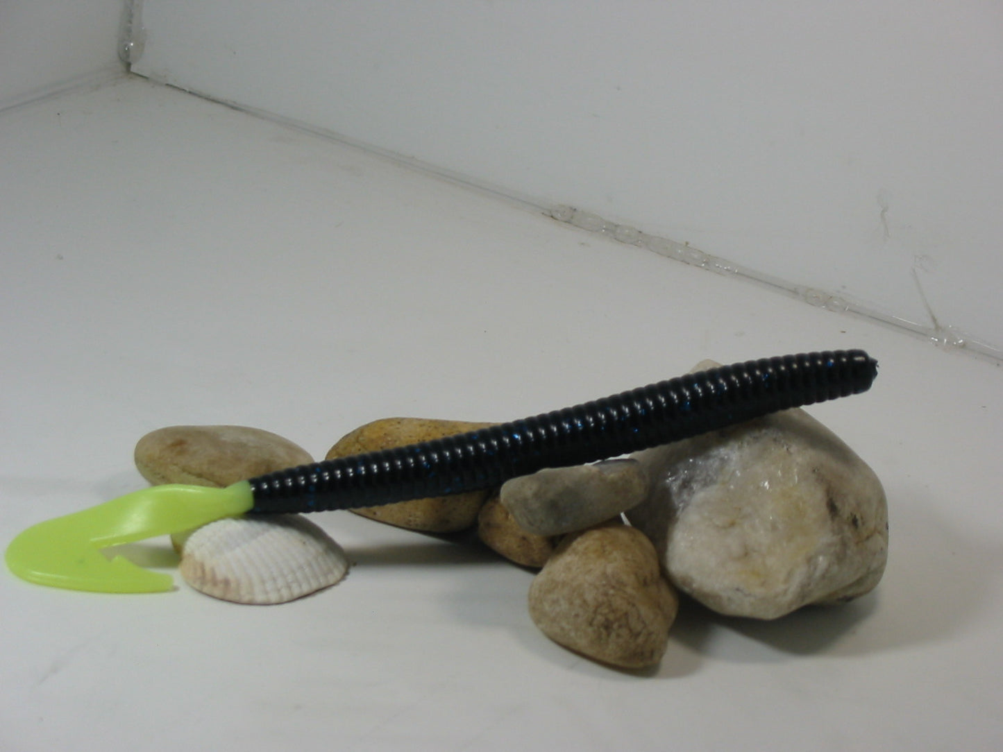 Black /Chartreuse Tail